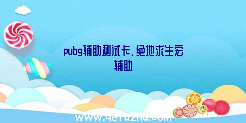 pubg辅助测试卡、绝地求生宏辅助