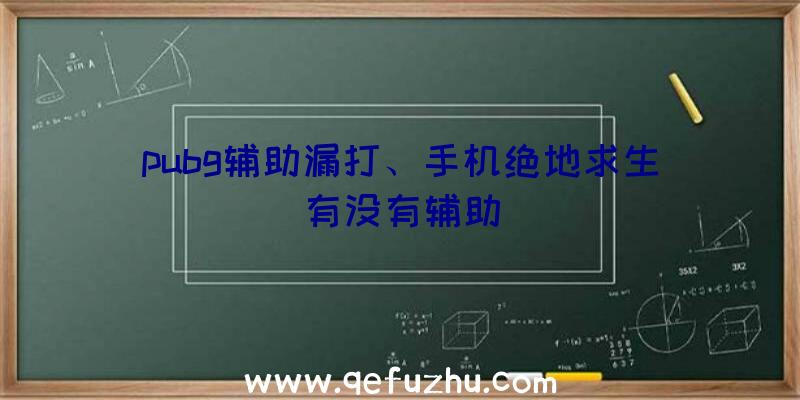 pubg辅助漏打、手机绝地求生有没有辅助