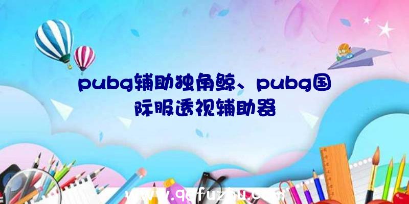 pubg辅助独角鲸、pubg国际服透视辅助器