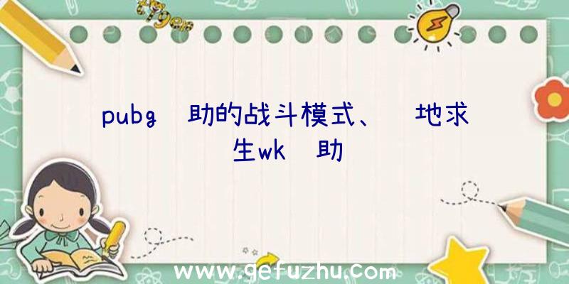 pubg辅助的战斗模式、绝地求生wk辅助