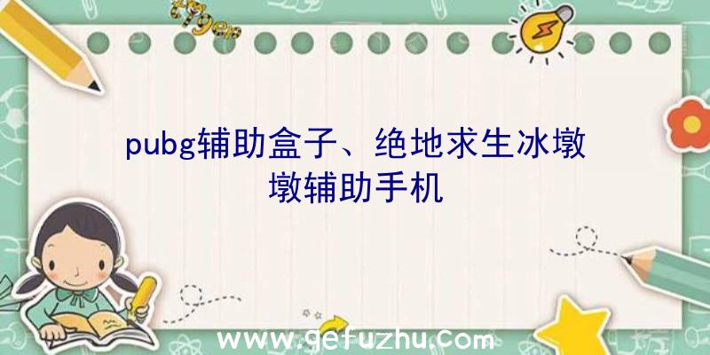 pubg辅助盒子、绝地求生冰墩墩辅助手机