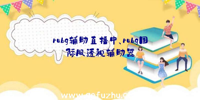 pubg辅助直播中、pubg国际服透视辅助器