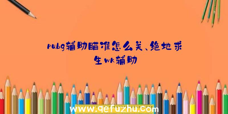 pubg辅助瞄准怎么关、绝地求生wk辅助