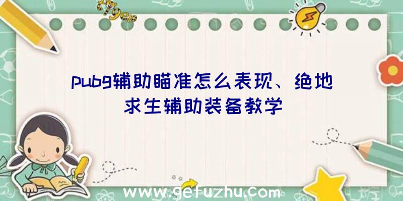 pubg辅助瞄准怎么表现、绝地求生辅助装备教学