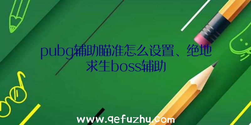 pubg辅助瞄准怎么设置、绝地求生boss辅助