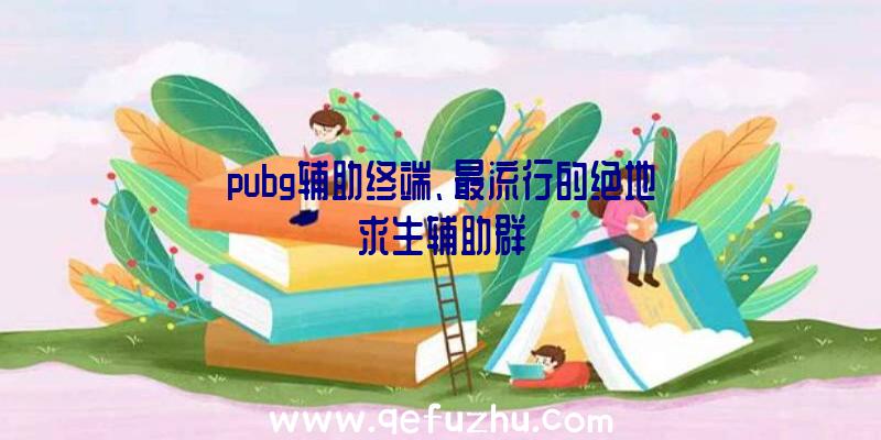 pubg辅助终端、最流行的绝地求生辅助群