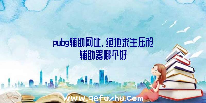 pubg辅助网址、绝地求生压枪辅助器哪个好