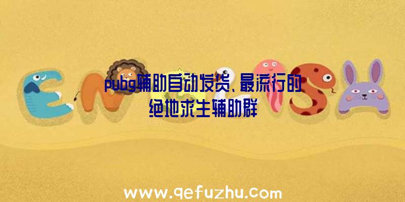 pubg辅助自动发货、最流行的绝地求生辅助群