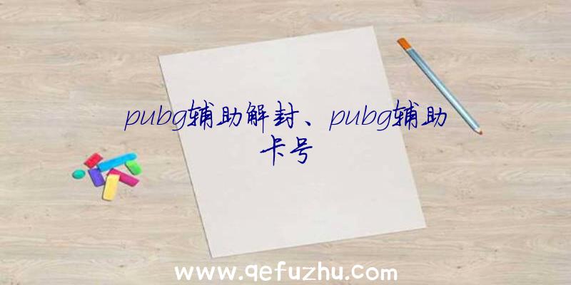 pubg辅助解封、pubg辅助卡号