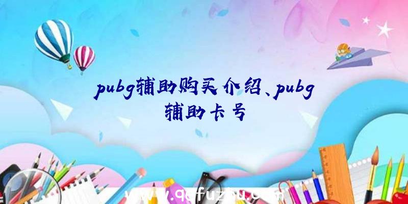 pubg辅助购买介绍、pubg辅助卡号