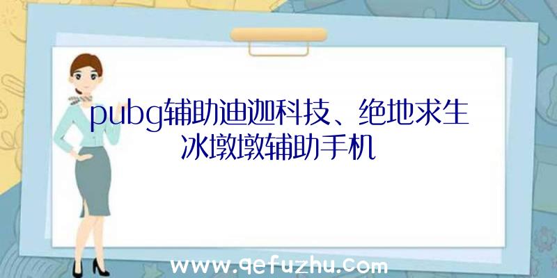 pubg辅助迪迦科技、绝地求生冰墩墩辅助手机