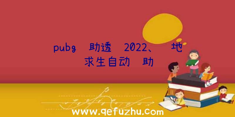 pubg辅助透视2022、绝地求生自动辅助