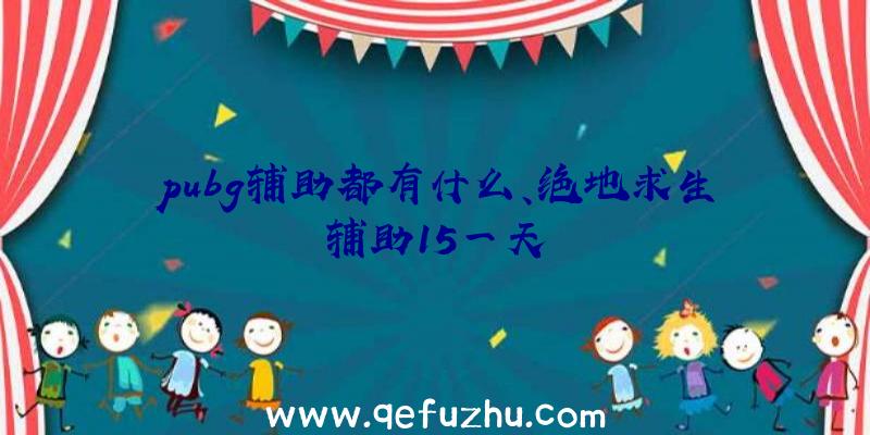 pubg辅助都有什么、绝地求生辅助15一天