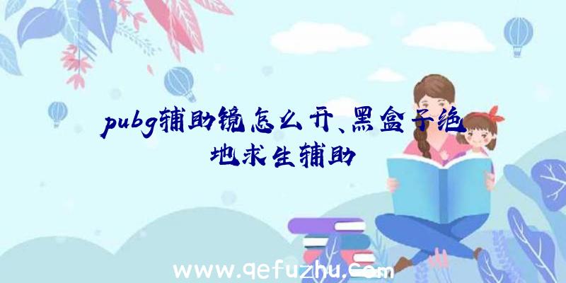 pubg辅助镜怎么开、黑盒子绝地求生辅助