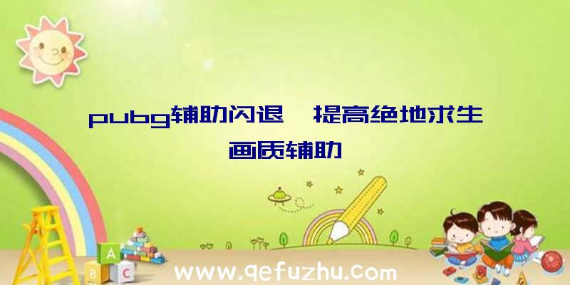 pubg辅助闪退、提高绝地求生画质辅助