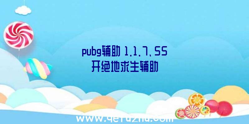 pubg辅助