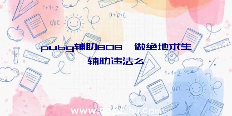 pubg辅助808、做绝地求生辅助违法么