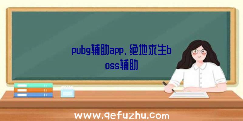 pubg辅助app、绝地求生boss辅助