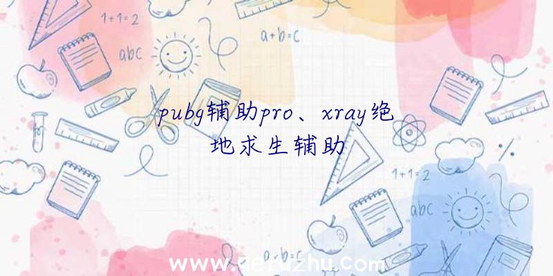 pubg辅助pro、xray绝地求生辅助