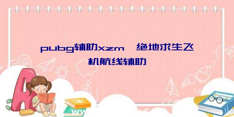 pubg辅助xzm、绝地求生飞机航线辅助