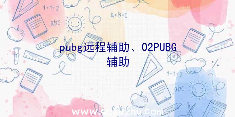 pubg远程辅助、02PUBG辅助