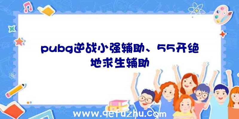 pubg逆战小强辅助、55开绝地求生辅助