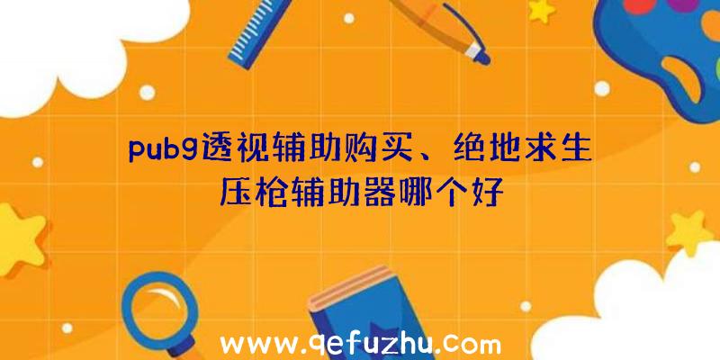 pubg透视辅助购买、绝地求生压枪辅助器哪个好