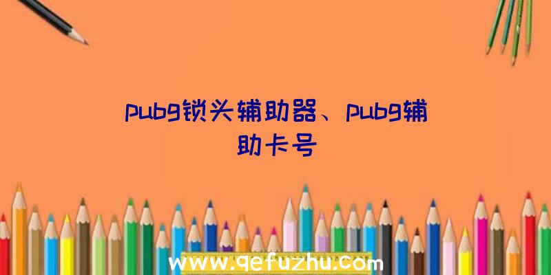 pubg锁头辅助器、pubg辅助卡号