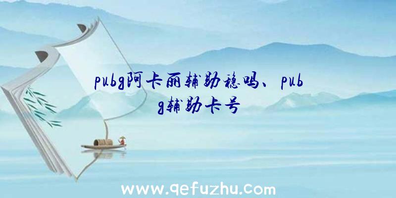 pubg阿卡丽辅助稳吗、pubg辅助卡号