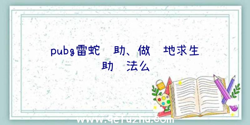 pubg雷蛇辅助、做绝地求生辅助违法么