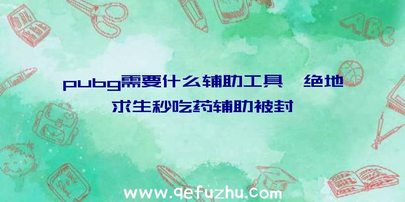 pubg需要什么辅助工具、绝地求生秒吃药辅助被封