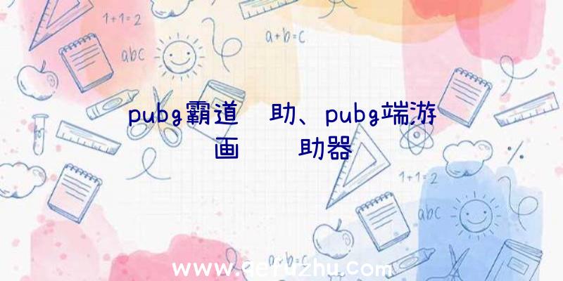 pubg霸道辅助、pubg端游画质辅助器