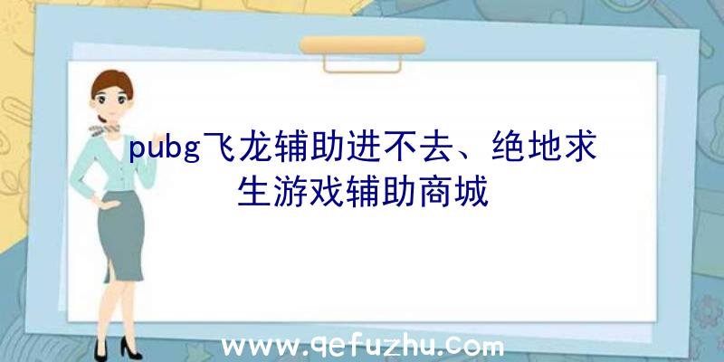 pubg飞龙辅助进不去、绝地求生游戏辅助商城