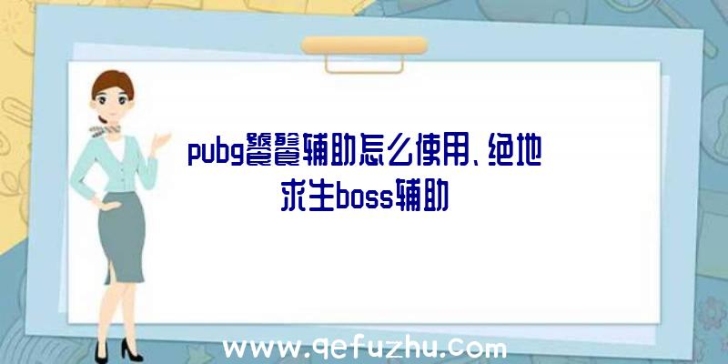 pubg饕餮辅助怎么使用、绝地求生boss辅助