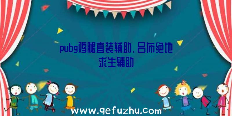 pubg鸡腿直装辅助、吕布绝地求生辅助