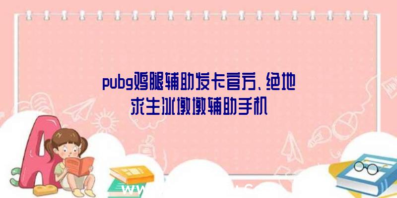 pubg鸡腿辅助发卡官方、绝地求生冰墩墩辅助手机