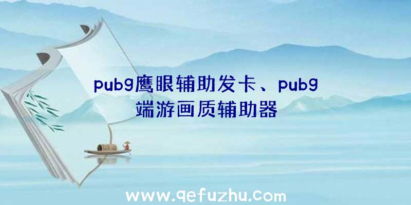 pubg鹰眼辅助发卡、pubg端游画质辅助器