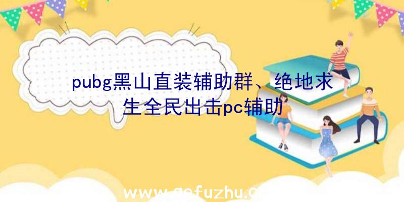 pubg黑山直装辅助群、绝地求生全民出击pc辅助