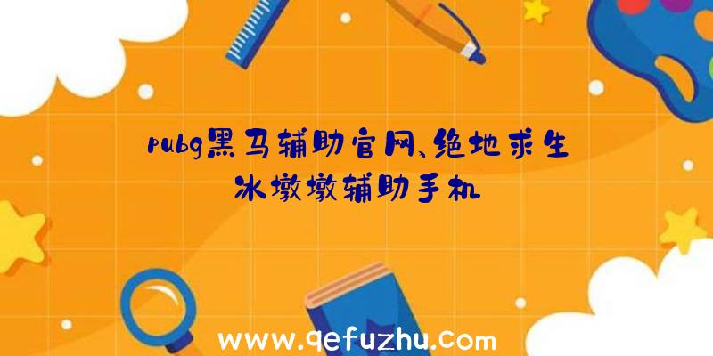 pubg黑马辅助官网、绝地求生冰墩墩辅助手机