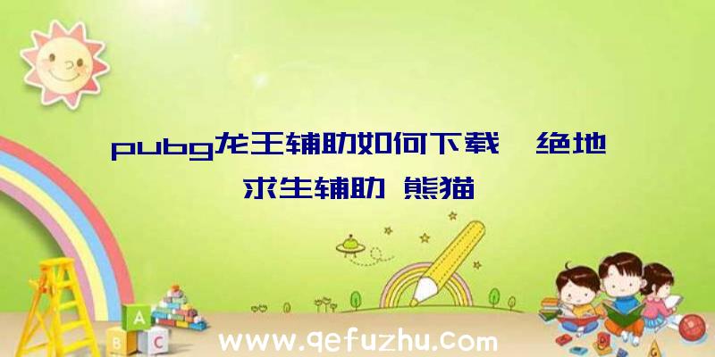 pubg龙王辅助如何下载、绝地求生辅助