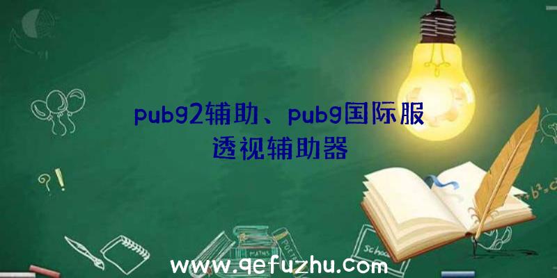 pubg2辅助、pubg国际服透视辅助器