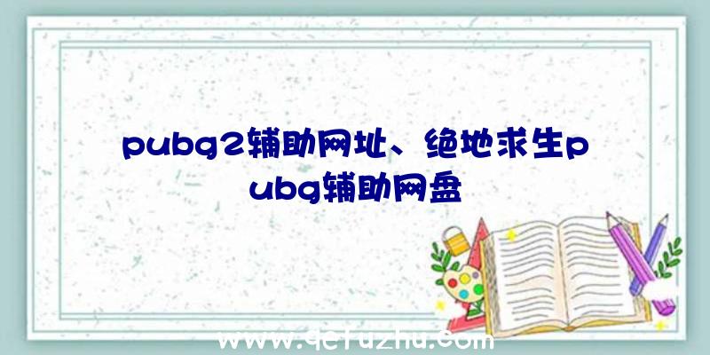 pubg2辅助网址、绝地求生pubg辅助网盘