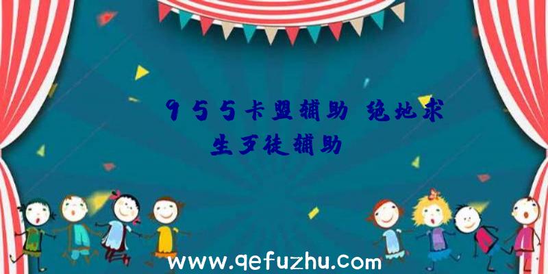 pubg955卡盟辅助、绝地求生歹徒辅助