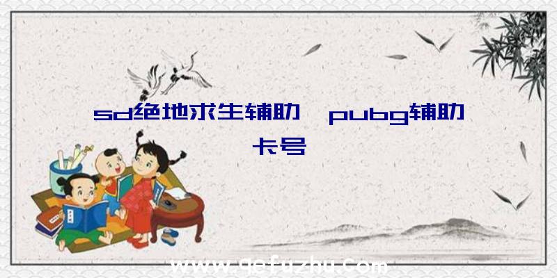 sd绝地求生辅助、pubg辅助卡号