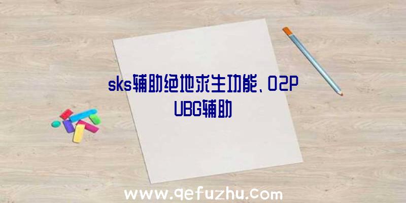 sks辅助绝地求生功能、02PUBG辅助