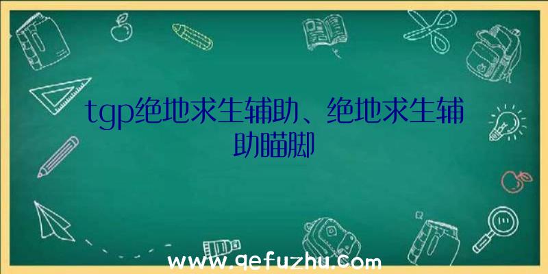 tgp绝地求生辅助、绝地求生辅助瞄脚