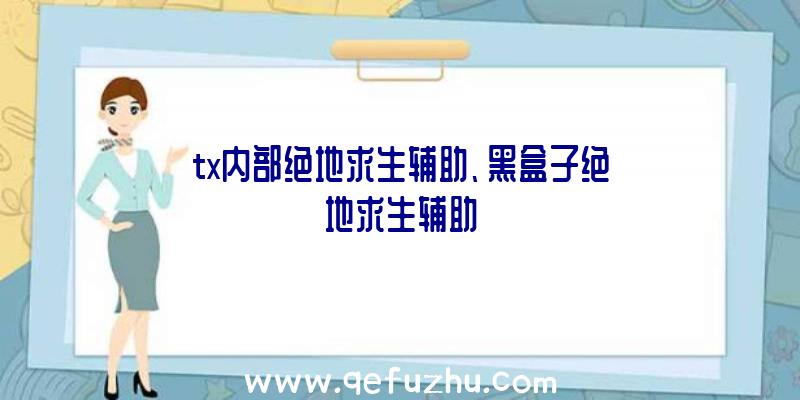 tx内部绝地求生辅助、黑盒子绝地求生辅助