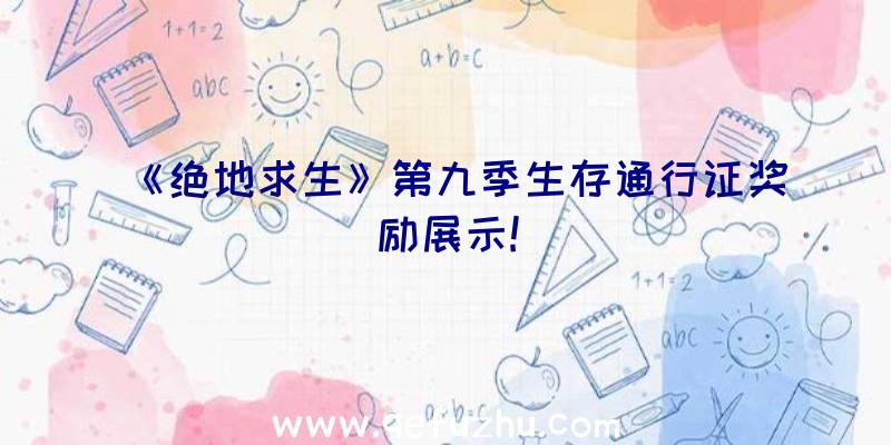 《绝地求生》第九季生存通行证奖励展示!