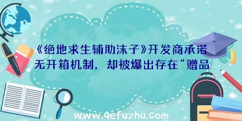 《绝地求生辅助沫子》开发商承诺无开箱机制，却被爆出存在“赠品包”形式的开箱