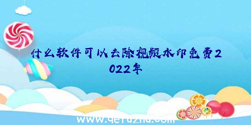 什么软件可以去除视频水印免费2022年